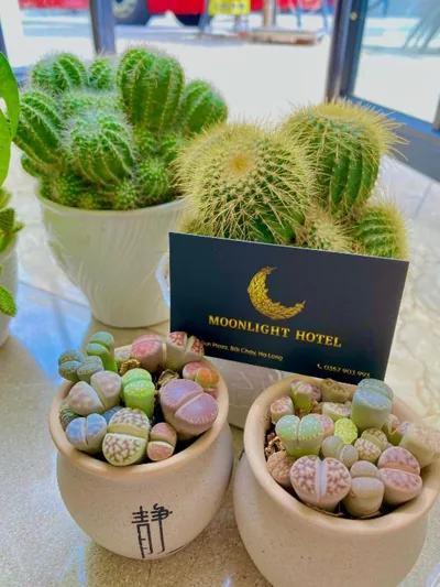 MOONLIGHT HOTEL – Fotos 4